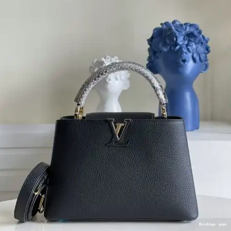 Brother sam 2110YA0120 LV Bags 0522